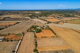 Finca Es Lledoner II: DJI_0031.JPG