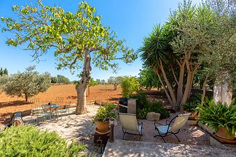 Finca Es Lledoner III: Terrasse