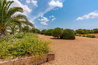 Finca Can Pere: Garten