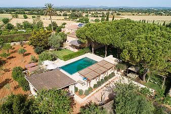 Finca Es Lledoner II: Poolbereich