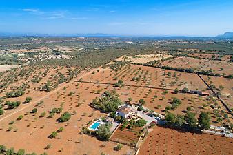 Finca Ses Cases: Tramuntana und Bucht von Alcudia