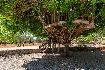 Finca Can Rosillo: Baumhaus