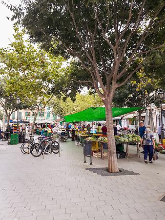 Finca Can Rosillo: Wochenmarkt Llucmajor