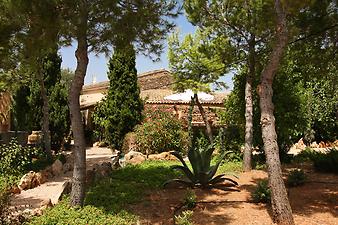 Finca Son Cifre Nou: Ostseite der Finca