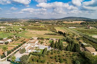 Finca Villa Es Collet de Manacor: Umgebung der Finca