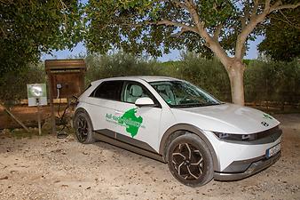 Finca Sa Gruta Vella: Elektro Auto auf Sa Gruta Vella Mallorca