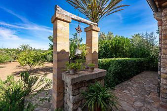 Finca Casa Alba: Der Brunnen 