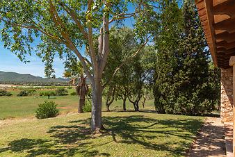 Finca Vista Alegre: Die große Rasenfläche 