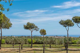 Finca Vista Alegre: Meerblick