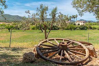 Finca Vista Alegre: Impressionen aus Mallorca