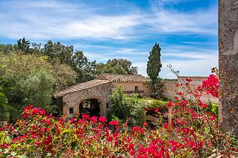 Finca Son Ramonet: Son Ramonet