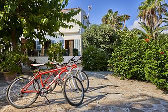 Finca Casa Jardin: Die Mountainbikes