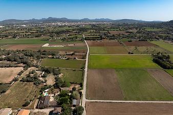 Finca Son Fonto: Casa 137  dron Son Fonto013.JPG