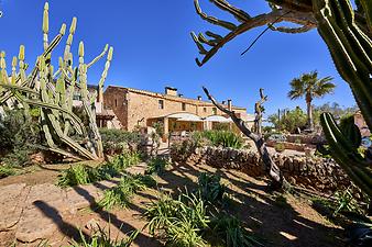 Finca Es Rafal Roig: Der Garten