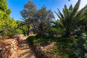 Finca Can Roca: Garten