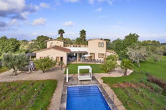 Finca Mia Limon: Weinreben um den Pool