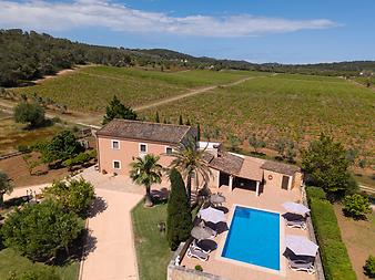 Finca Cas Cuni: DJI_20250508153849_0069_D-bearbeitet.jpg