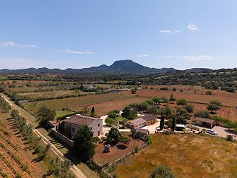 Finca Cas Cuni: DJI_20250508154253_0080_D-bearbeitet.jpg