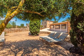 Finca Cas Cuni: Cas Cuni