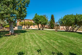 Finca Cas Cuni: _DSC2819-bearbeitet.jpg