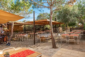 Finca Sa Gruta Vella: Grillplatz