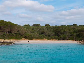 Finca Sa Gruta Vella: Bootsausflug