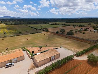 Finca Ses Figueretes: Ses Figueretes