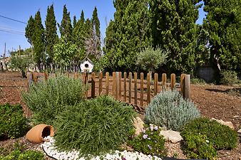 Finca Cas Sineuer: Garten der Finca