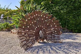 Finca Es Moli d'en Creu: Skulpturen-Pfau
