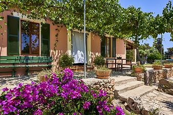 Finca Can Pamboli: Finca bei Son Servera