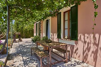 Finca Can Pamboli: Pergola mit Weintrauben