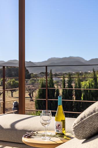 Finca Son Set: Terrasse