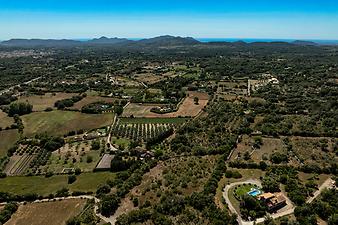 Finca Es Cortó: Es Cortó