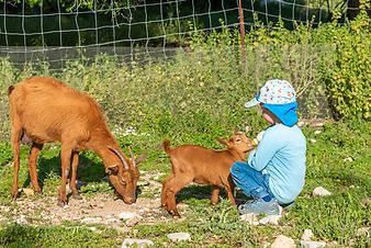 Finca Ses Bitles: Kaninchen
