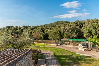 Finca Ses Bitles: Ses Bitles