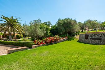 Finca S'Arbocar: S'Arbocar