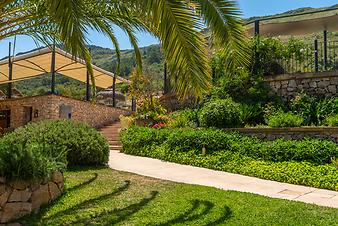 Finca S'Arbocar: Sonnenterrasse/Pool
