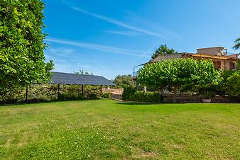 Finca S'Arbocar: S'Arbocar