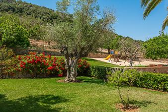 Finca S'Arbocar: S'Arbocar