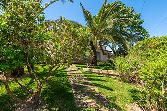 Finca S'Arbocar: S'Arbocar