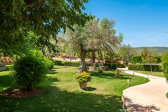Finca S'Arbocar: S'Arbocar