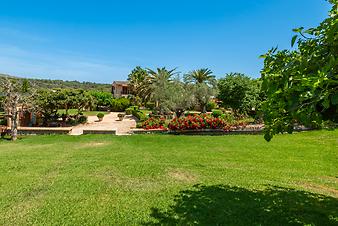 Finca S'Arbocar: S'Arbocar
