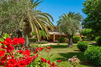 Finca S'Arbocar: S'Arbocar
