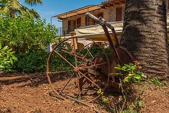 Finca S'Arbocar: S'Arbocar