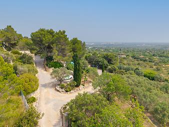 Finca El Ciprés: El Ciprés