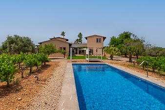 Finca Mia Limon: Mia Limon