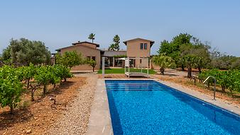 Finca Mia Limon: Aussenbereich