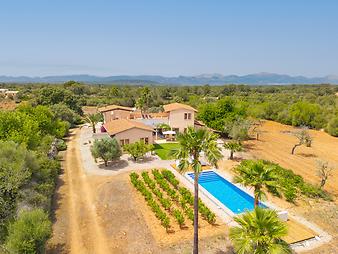 Finca Mia Limon: Mia Limon