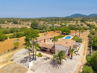 Finca Mia Limon: Mia Limon