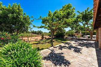 Finca Sa Cova Nova: Sa Cova Nova